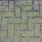 Business 13 image DAPPER GROUND MAINTENANCE LTD Landscapers in Glasgow Glg