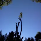 Business 1 image DAUBHILL P.O Post Offices in Bolton La