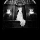 Business 10 image DAVID BRYCE PHOTOGRAPHY Wedding Supplies in Glasgow Glg