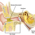Business 7 image DEESIDE EAR CARE Healthcare Consultants in Aberdeen Ab
