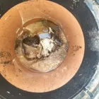 Business 6 image DELTA 2000 DRAIN SERVICES Plumbers in Barry So