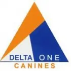 Business 6 image DELTA  ONE CANINES Pets & Animals in Coventry We