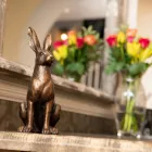 Business 4 image DENTAL EXCELLENCE HAREWOOD Orthodontists in Leeds We