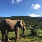 Business 14 image DIAMOND TRAVEL LTD Travel Agents in Farnborough Ha