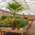 Business 6 image DOBBIES GARDEN CENTRE MARPLE Plant Nurseries & Garden Centres in Stockport Ch