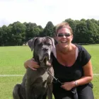 Business 1 image DOGGY DAY CARE Pet Services in Poole Do