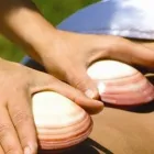 Business 2 image DOLLIES BEAUTY-WELLBEING Massage Therapists in Kingswood Av