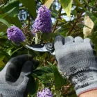 Business 2 image DOVER GARDENING SERVICES Home & Garden in Dover Ke