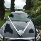 Business 3 image DS EXECUTIVE CARS Wedding Supplies in London Gr