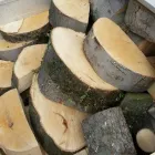 Business 10 image DS TREE SERVICES Tree Services in Nottingham No