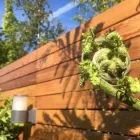 Business 2 image EARTHCARE GARDENS LTD Ponds & Water Gardens Services in Wallington Su