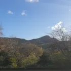 Business 18 image EDINBURGH WALKING TOUR COMPANY Zoos in Edinburgh Edh