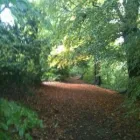 Business 1 image EH4 DOG WALKER Pets & Animals in Edinburgh Edh