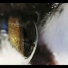 Business 20 image ELLIS & WARREN MARINE LTD Boat Builders & Repairs in Lymington Ha