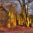 Business 21 image ELLIS & WARREN MARINE LTD Boat Builders & Repairs in Lymington Ha