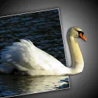 Business 22 image ELLIS & WARREN MARINE LTD Boat Builders & Repairs in Lymington Ha