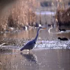 Business 24 image ELLIS & WARREN MARINE LTD Boat Builders & Repairs in Lymington Ha