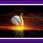 Business 26 image ELLIS & WARREN MARINE LTD Boat Builders & Repairs in Lymington Ha