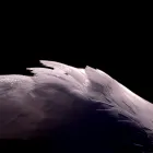 Business 27 image ELLIS & WARREN MARINE LTD Boat Builders & Repairs in Lymington Ha