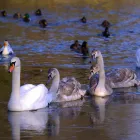 Business 8 image ELLIS & WARREN MARINE LTD Boat Builders & Repairs in Lymington Ha