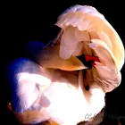 Business 10 image ELLIS & WARREN MARINE LTD Boat Builders & Repairs in Lymington Ha