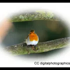 Business 12 image ELLIS & WARREN MARINE LTD Boat Builders & Repairs in Lymington Ha