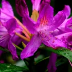 Business 16 image ELLIS & WARREN MARINE LTD Boat Builders & Repairs in Lymington Ha