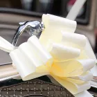 Business 17 image ELLIS & WARREN MARINE LTD Boat Builders & Repairs in Lymington Ha