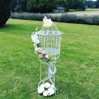 Business 25 image ENCHANTED WINGS DOVE RELEASE Wedding Services in Walsall We