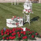 Business 26 image ENCHANTED WINGS DOVE RELEASE Wedding Services in Walsall We