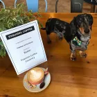 Business 6 image ESQUIRES COFFEE Food & Beverages in Coventry We