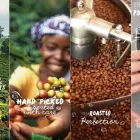 Business 2 image ESQUIRES COFFEE Food & Beverages in Manchester Gr