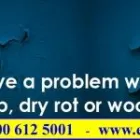 Business 5 image EURODAMP UK ( NATIONAL DAMP & TIMBER SPECIALISTS ) Construction & Contractors in Stockport Gr