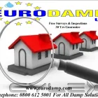 Business 17 image EURODAMP UK ( NATIONAL DAMP & TIMBER SPECIALISTS ) Construction & Contractors in Stockport Gr