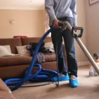 Business 5 image EXCEL CARPET CLEAN Upholstery Cleaners in Lymington Ha