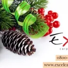 Business 10 image EXCEL CARPET CLEAN Upholstery Cleaners in Lymington Ha