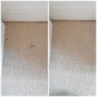 Business 11 image EXCEL CARPET CLEAN Upholstery Cleaners in Lymington Ha