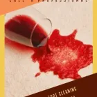 Business 12 image EXCEL CARPET CLEAN Upholstery Cleaners in Lymington Ha