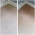 Business 26 image EXCEL CARPET CLEAN Upholstery Cleaners in Lymington Ha