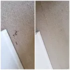 Business 31 image EXCEL CARPET CLEAN Upholstery Cleaners in Lymington Ha