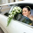 Business 2 image EXCLUSIVE HIRE LIMOS Transportation Services in Feltham Mi