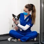 Business 5 image FARNHAM VETERINARY HOSPITAL Veterinary Services in Farnham Su