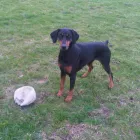 Business 1 image FARNWORTH HEALTH CENTRE Clinics in Bolton La