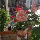 Business 2 image FEARNDEAN Residential, Retirement & Care Homes in Glasgow La