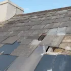 Business 54 image FIRST 4 ROOFING Roofing Contractors in Hull Ery