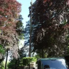 Business 18 image FIRST IMPRESSIONS Bridal Shops in Llanelli Dy