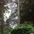 Business 19 image FIRST IMPRESSIONS Bridal Shops in Llanelli Dy