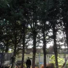 Business 20 image FIRST IMPRESSIONS Bridal Shops in Llanelli Dy