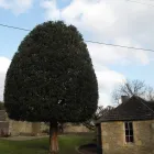 Business 3 image FIRST IMPRESSIONS Bridal Shops in Llanelli Dy