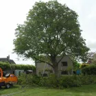 Business 12 image FIRST IMPRESSIONS Bridal Shops in Llanelli Dy